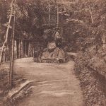 Siebenlehn i.Sa. Ruhefelsen gl 193.316