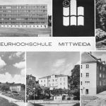 Mittweida in Sachsen Mehrbildkarte ngl 193.359