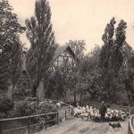 Dittersdorf Auf der Dorfstraße ngl 193.375