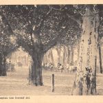 Wiesbaden Kurplatz vom Lesesaal aus ngl 193.641