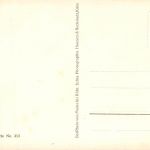 Rüdesheim a. Rhein aus dem Weinberg ngl 193.763