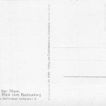 Rüdesheim a. Rhein Blick vom Rochusberg ngl 193.766