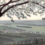 Rüdesheim a. Rhein Panorama ngl 193.772