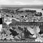 Rüdesheim a. Rhein Gesamtansicht ngl 193.775