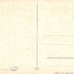 Assmannshausen a. Rhein Panorama ngl 193.843