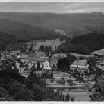 Eltville am Rhein Teilansicht gl1936 193.975