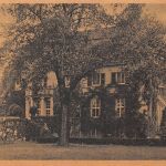 Eltville am Rhein Eltviller Aue ngl 193.981