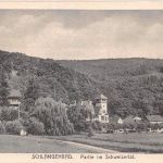 Schlangenbad i. T. Partie im Schweizertal ngl 193.991
