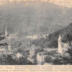 Schlangenbad i. T. Panorama gl1909 193.996