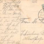 Schlangenbad i. T. Panorama gl1909 193.996