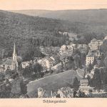 Schlangenbad i. T. Panorama ngl 193.997