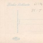 Schlangenbad i. T. Panorama ngl 193.998