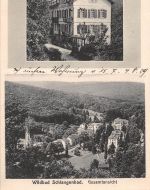Schlangenbad i. T. Haus Hildegard, Gesamtansicht ngl 194.002