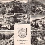 Schlangenbad i. T. Mehrbildkarte gl1967 194.005