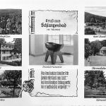Schlangenbad i. T. Mehrbildkarte gl1965 194.006
