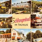 Schlangenbad i. T. Mehrbildkarte gl1963 194.008