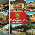 Schlangenbad i. T. Mehrbildkarte gl1981 194.009