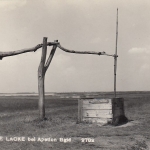 Apetlon, Lange Lacke, Burgenland ngl E6103