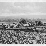 Hattenheim/Rheingau Panorama gl1958 194.044