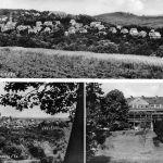 Mammolsheim im Taunus Mehrbildkarte gl 194.075