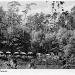 Cronberg im Taunus Waldcafe Bürgelstollen gl 194.122