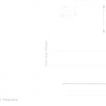 Worms a.Rh. Dom ngl 195.279