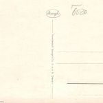 Worms a.Rh. Dom ngl 195.280