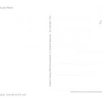 Worms a.Rh. Dom ngl 195.281