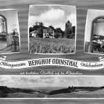 Wachenheim Berghof Odinsthal ngl 195.330