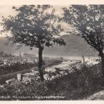 Bingen und Bingerbrück Panorama ngl 195.340