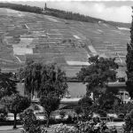 Bingen am Rhein Rheinanlagen gl1957 195.352