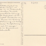 Angers (Maine-et-Loire) niederl.Wirkteppich, 16.Jahrh. ngl E6493