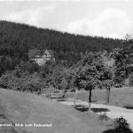 Oberwiesenthal Blick zum Eschenhof gl 195.734