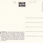 JA, Coconut Pickers ngl E6580