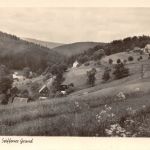 Seiffen (Erzgebirge) Seiffener Grund ngl 195.873