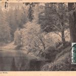 Satzung (Erzgeb.) Waldteich bei Neue Welt gl 195.936