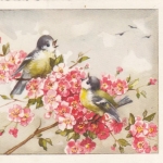 Pfingsten-Wünsche mit Blüten und Meisen gl1957 E6683