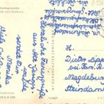 Geringswalde Markt und Rathaus gl1960 195.974