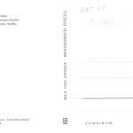 Eppendorf Mehrbildkarte ngl 196.111