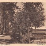 Templin Waldweg am Lübbe See ngl 196.120