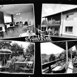Waldmichelbach i.O. Pension Haus Fink ngl 196.354
