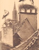 Elsass Strasbourg Storchennest ngl 196.419