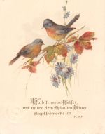 Religion Psalm 63,8 gl1928 196.474