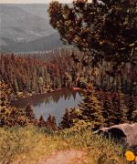Schwarzwald Wildsee ngl 196.477