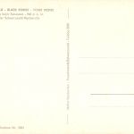 Schwarzwald Wildsee ngl 196.477