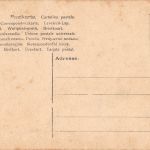 Typen Osteuropa? ngl 196.513