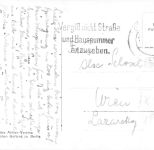 Zoo Berlin Junger Löwe gl 196.610