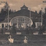 Zoo München Pelikane Fotokarte gl1920 196.611