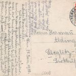 Zoo München Pelikane Fotokarte gl1920 196.611
