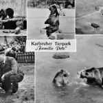 Zoo Karlsruhe Familie Petz ngl 196.614